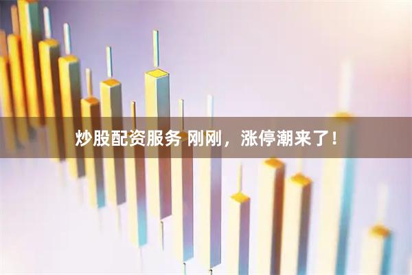 炒股配资服务 刚刚，涨停潮来了！