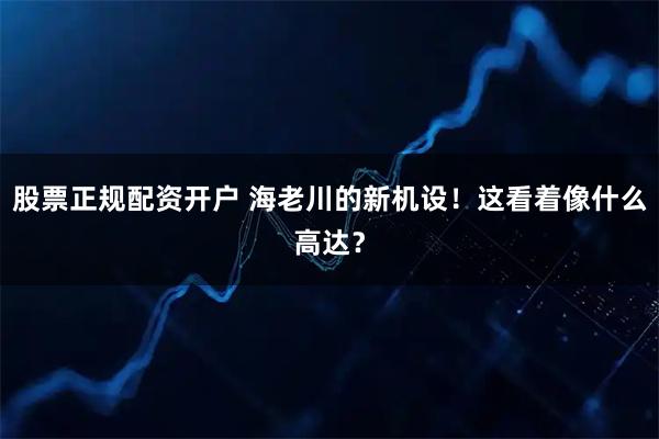股票正规配资开户 海老川的新机设！这看着像什么高达？